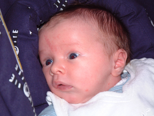 2005_1222_134316AA2