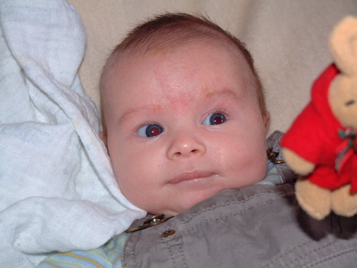 2006_0131_123955AA2