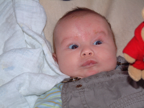 2006_0131_124014AA2