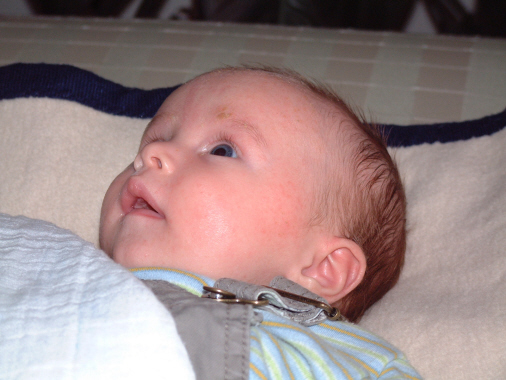 2006_0131_144025AA2