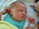 Thumbs/tn_Joost004.jpg